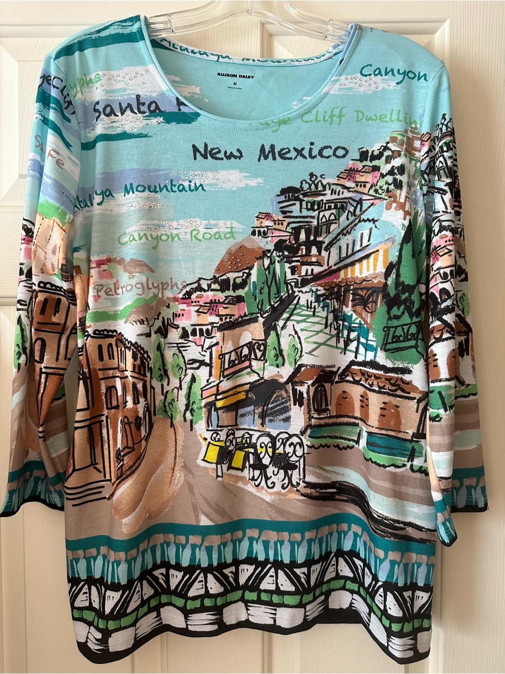 NWT Allison Daley Scenic New Mexico Print Top in Aqua, Tan & Green- M